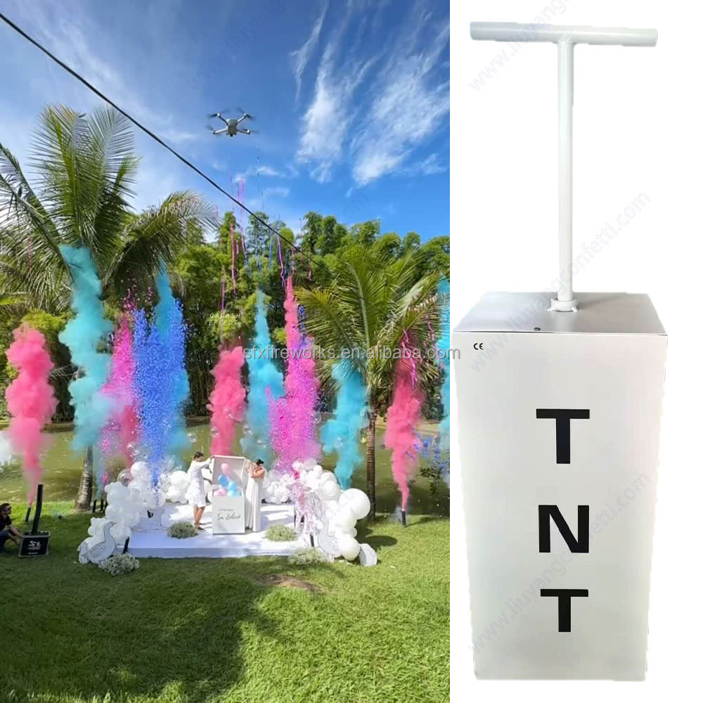 Electric Gender Reveal Smoke B - Confetti Cannon Tube avis et prix
