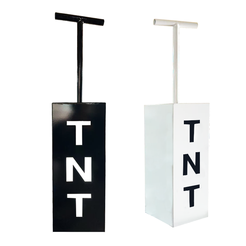 TNT Control Cannon Gender Reve - Confetti Cannon Tube avis et prix
